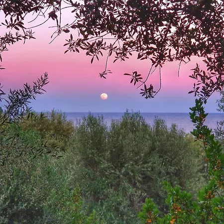 Casa Ludovica A 100 Passi Dal Mare דירה ארבאטקס