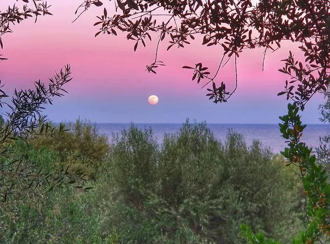 Casa Ludovica A 100 Passi Dal Mare Lägenhet Àrbatax